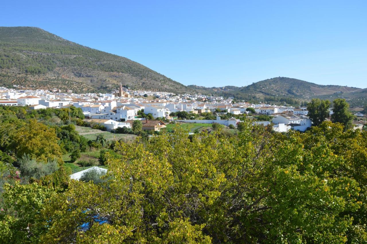 Ecoalbergue Rural De Algodonales Eksteriør bilde